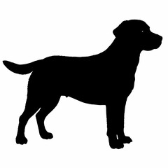 Dog Silhouette svg, Digital Download, Dog Silhouette svg bundle,Dog Silhouette png,Dog Breed Silhouettes, Dog Breed SVG