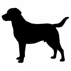 Dog Silhouette svg, Digital Download, Dog Silhouette svg bundle,Dog Silhouette png,Dog Breed Silhouettes, Dog Breed SVG