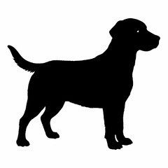 Dog Silhouette svg, Digital Download, Dog Silhouette svg bundle,Dog Silhouette png,Dog Breed Silhouettes, Dog Breed SVG
