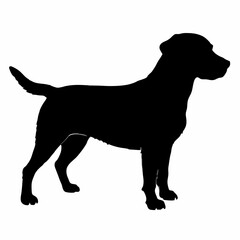 Dog Silhouette svg, Digital Download, Dog Silhouette svg bundle,Dog Silhouette png,Dog Breed Silhouettes, Dog Breed SVG