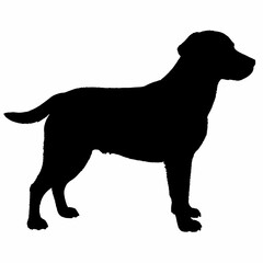 Dog Silhouette svg, Digital Download, Dog Silhouette svg bundle,Dog Silhouette png,Dog Breed Silhouettes, Dog Breed SVG