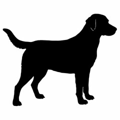 Dog Silhouette svg, Digital Download, Dog Silhouette svg bundle,Dog Silhouette png,Dog Breed Silhouettes, Dog Breed SVG