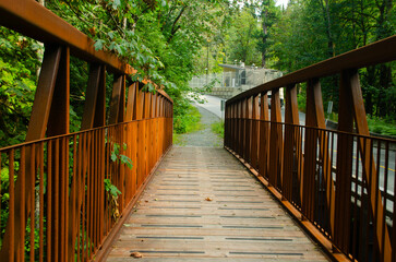 Scenic Wooden Footbridge Through Lush Green Forest on a Peaceful Nature Trail