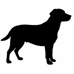 Dog Silhouette svg, Digital Download, Dog Silhouette svg bundle,Dog Silhouette png,Dog Breed Silhouettes, Dog Breed SVG