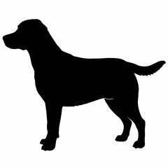 Dog Silhouette svg, Digital Download, Dog Silhouette svg bundle,Dog Silhouette png,Dog Breed Silhouettes, Dog Breed SVG