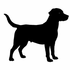 Dog Silhouette svg, Digital Download, Dog Silhouette svg bundle,Dog Silhouette png,Dog Breed Silhouettes, Dog Breed SVG