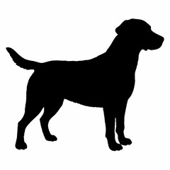 Dog Silhouette svg, Digital Download, Dog Silhouette svg bundle,Dog Silhouette png,Dog Breed Silhouettes, Dog Breed SVG