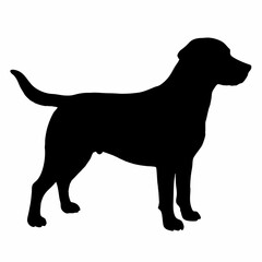 Dog Silhouette svg, Digital Download, Dog Silhouette svg bundle,Dog Silhouette png,Dog Breed Silhouettes, Dog Breed SVG