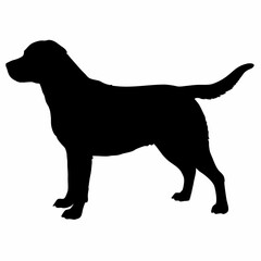 Dog Silhouette svg, Digital Download, Dog Silhouette svg bundle,Dog Silhouette png,Dog Breed Silhouettes, Dog Breed SVG