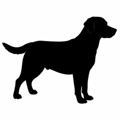 Dog Silhouette svg, Digital Download, Dog Silhouette svg bundle,Dog Silhouette png,Dog Breed Silhouettes, Dog Breed SVG