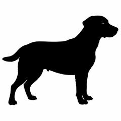 Dog Silhouette svg, Digital Download, Dog Silhouette svg bundle,Dog Silhouette png,Dog Breed Silhouettes, Dog Breed SVG