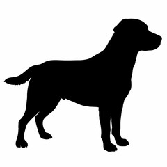 Dog Silhouette svg, Digital Download, Dog Silhouette svg bundle,Dog Silhouette png,Dog Breed Silhouettes, Dog Breed SVG