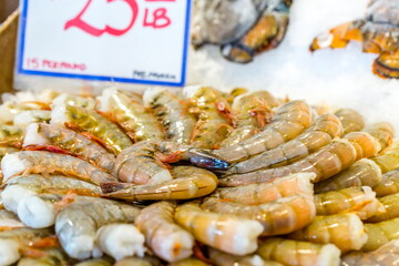 Fresh Jumbo shrimp on display at farmer's market.