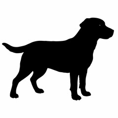 Dog Silhouette svg, Digital Download, Dog Silhouette svg bundle,Dog Silhouette png,Dog Breed Silhouettes, Dog Breed SVG