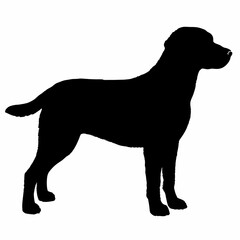 Dog Silhouette svg, Digital Download, Dog Silhouette svg bundle,Dog Silhouette png,Dog Breed Silhouettes, Dog Breed SVG