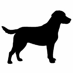 Dog Silhouette svg, Digital Download, Dog Silhouette svg bundle,Dog Silhouette png,Dog Breed Silhouettes, Dog Breed SVG