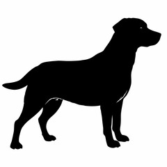 Dog Silhouette svg, Digital Download, Dog Silhouette svg bundle,Dog Silhouette png,Dog Breed Silhouettes, Dog Breed SVG