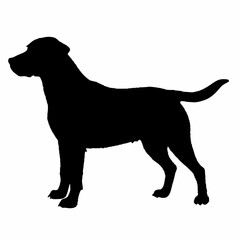 Dog Silhouette svg, Digital Download, Dog Silhouette svg bundle,Dog Silhouette png,Dog Breed Silhouettes, Dog Breed SVG