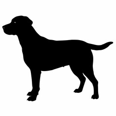 Dog Silhouette svg, Digital Download, Dog Silhouette svg bundle,Dog Silhouette png,Dog Breed Silhouettes, Dog Breed SVG