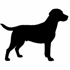 Dog Silhouette svg, Digital Download, Dog Silhouette svg bundle,Dog Silhouette png,Dog Breed Silhouettes, Dog Breed SVG