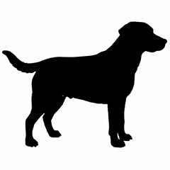 Dog Silhouette svg, Digital Download, Dog Silhouette svg bundle,Dog Silhouette png,Dog Breed Silhouettes, Dog Breed SVG