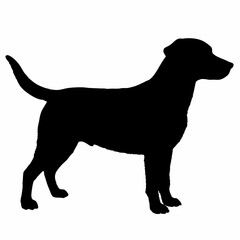 Dog Silhouette svg, Digital Download, Dog Silhouette svg bundle,Dog Silhouette png,Dog Breed Silhouettes, Dog Breed SVG