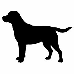 Dog Silhouette svg, Digital Download, Dog Silhouette svg bundle,Dog Silhouette png,Dog Breed Silhouettes, Dog Breed SVG