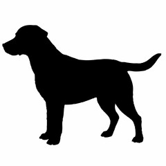 Dog Silhouette svg, Digital Download, Dog Silhouette svg bundle,Dog Silhouette png,Dog Breed Silhouettes, Dog Breed SVG