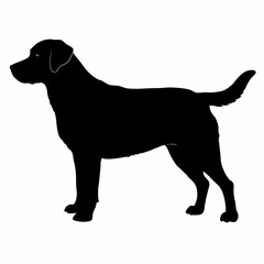 Dog Silhouette svg, Digital Download, Dog Silhouette svg bundle,Dog Silhouette png,Dog Breed Silhouettes, Dog Breed SVG