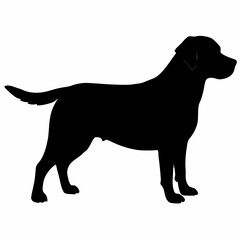 Dog Silhouette svg, Digital Download, Dog Silhouette svg bundle,Dog Silhouette png,Dog Breed Silhouettes, Dog Breed SVG