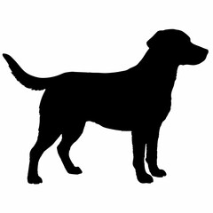 Dog Silhouette svg, Digital Download, Dog Silhouette svg bundle,Dog Silhouette png,Dog Breed Silhouettes, Dog Breed SVG