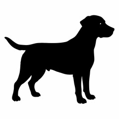 Dog Silhouette svg, Digital Download, Dog Silhouette svg bundle,Dog Silhouette png,Dog Breed Silhouettes, Dog Breed SVG