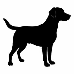 Dog Silhouette svg, Digital Download, Dog Silhouette svg bundle,Dog Silhouette png,Dog Breed Silhouettes, Dog Breed SVG