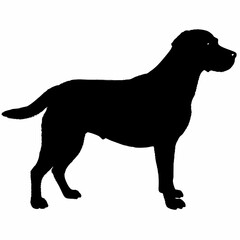 Dog Silhouette svg, Digital Download, Dog Silhouette svg bundle,Dog Silhouette png,Dog Breed Silhouettes, Dog Breed SVG
