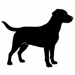 Dog Silhouette svg, Digital Download, Dog Silhouette svg bundle,Dog Silhouette png,Dog Breed Silhouettes, Dog Breed SVG