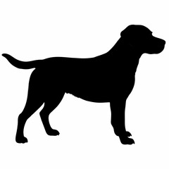 Dog Silhouette svg, Digital Download, Dog Silhouette svg bundle,Dog Silhouette png,Dog Breed Silhouettes, Dog Breed SVG