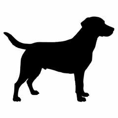 Dog Silhouette svg, Digital Download, Dog Silhouette svg bundle,Dog Silhouette png,Dog Breed Silhouettes, Dog Breed SVG