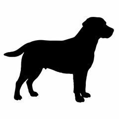 Dog Silhouette svg, Digital Download, Dog Silhouette svg bundle,Dog Silhouette png,Dog Breed Silhouettes, Dog Breed SVG