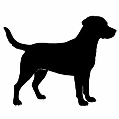 Dog Silhouette svg, Digital Download, Dog Silhouette svg bundle,Dog Silhouette png,Dog Breed Silhouettes, Dog Breed SVG