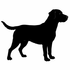 Dog Silhouette svg, Digital Download, Dog Silhouette svg bundle,Dog Silhouette png,Dog Breed Silhouettes, Dog Breed SVG