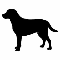 Dog Silhouette svg, Digital Download, Dog Silhouette svg bundle,Dog Silhouette png,Dog Breed Silhouettes, Dog Breed SVG