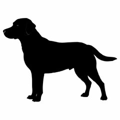Dog Silhouette svg, Digital Download, Dog Silhouette svg bundle,Dog Silhouette png,Dog Breed Silhouettes, Dog Breed SVG
