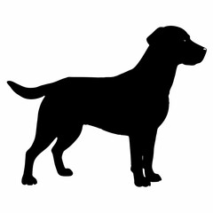 Dog Silhouette svg, Digital Download, Dog Silhouette svg bundle,Dog Silhouette png,Dog Breed Silhouettes, Dog Breed SVG