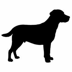 Dog Silhouette svg, Digital Download, Dog Silhouette svg bundle,Dog Silhouette png,Dog Breed Silhouettes, Dog Breed SVG