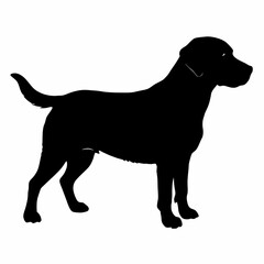 Dog Silhouette svg, Digital Download, Dog Silhouette svg bundle,Dog Silhouette png,Dog Breed Silhouettes, Dog Breed SVG