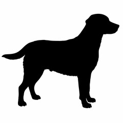 Dog Silhouette svg, Digital Download, Dog Silhouette svg bundle,Dog Silhouette png,Dog Breed Silhouettes, Dog Breed SVG