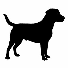 Dog Silhouette svg, Digital Download, Dog Silhouette svg bundle,Dog Silhouette png,Dog Breed Silhouettes, Dog Breed SVG