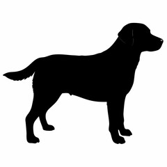 Dog Silhouette svg, Digital Download, Dog Silhouette svg bundle,Dog Silhouette png,Dog Breed Silhouettes, Dog Breed SVG