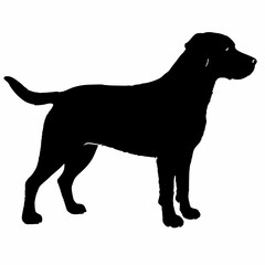 Dog Silhouette svg, Digital Download, Dog Silhouette svg bundle,Dog Silhouette png,Dog Breed Silhouettes, Dog Breed SVG