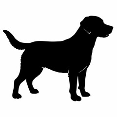 Dog Silhouette svg, Digital Download, Dog Silhouette svg bundle,Dog Silhouette png,Dog Breed Silhouettes, Dog Breed SVG